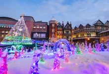 Snow Festival and Beyond: Top Things to Do in Sapporo