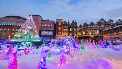 Snow Festival and Beyond: Top Things to Do in Sapporo